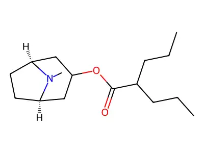 Anisotropine structure