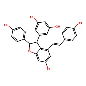 Epsilon-Viniferin structure