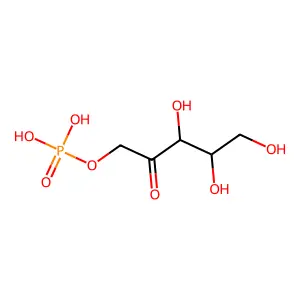 Xylulose-1-phosphate structure