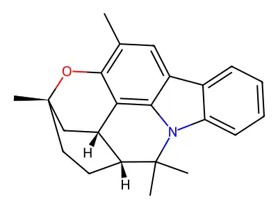 Curryangine structure