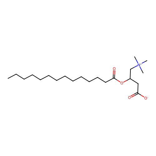 Myristoylcarnitine structure