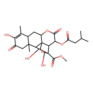 Anisole, 2,4-bis(chloromethyl)- structure