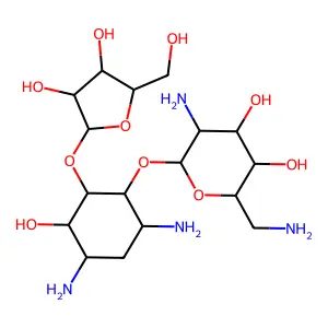 Ribostamycin structure