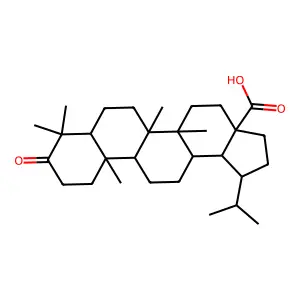 Dihydrobetulonic acid structure