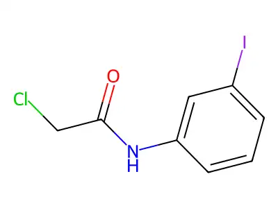 2-chloro-N-(3-iodophenyl)acetamide structure