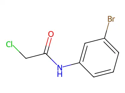 N-(3-bromophenyl)-2-chloroacetamide structure