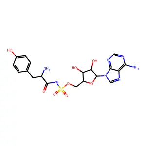 Tyrosyladenylate structure