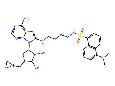 8-Amino[1