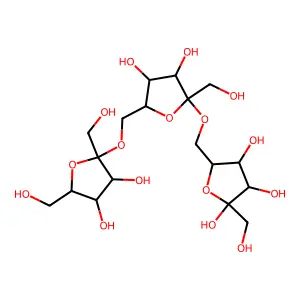 Polyfructose structure