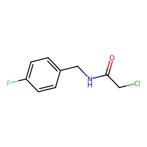 2-chloro-N-(4-fluorobenzyl)acetamide structure