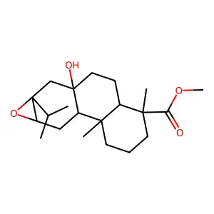 KST-1B2361 structure