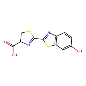 萤火虫萤光素 structure