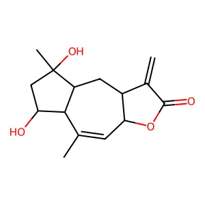 Halshalin structure
