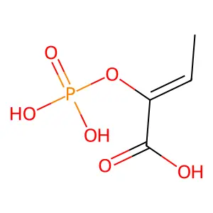 Phosphoenol-2-ketobutyrate structure