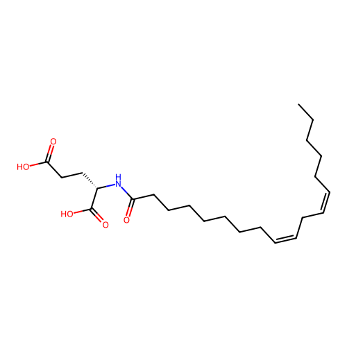 Glutamic acid linoleamide structure