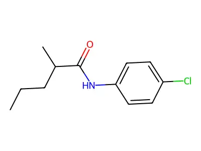 N-(4-chlorophenyl)-2-methylpentanamide structure