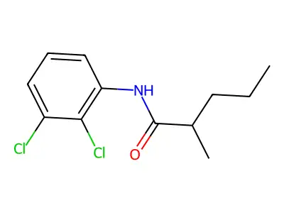 N-(2,3-dichlorophenyl)-2-methylpentanamide structure