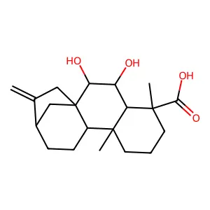 6β,7β-二羟基贝壳杉烯酸 structure