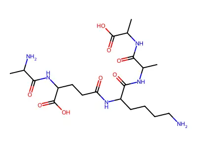 Peptidoglycan pentapeptide structure