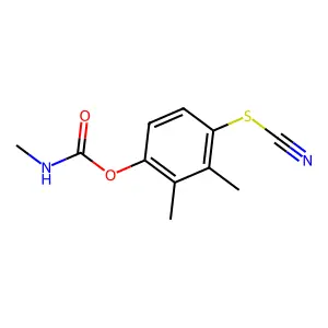 Thiocyanic acid, 2,3-dimethyl-4-(((methylamino)carbonyl)oxy)phenyl ester structure
