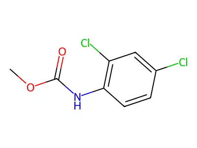 Methyl N-(2,4-dichlorophenyl)carbamate structure