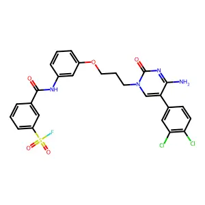 3-[[3-[3-[4-amino-5-(3,4-dichlorophenyl)-2-oxopyrimidin-1-yl]propoxy]phenyl]carbamoyl]benzenesulfonyl fluoride structure