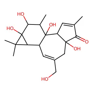 4alpha-Phorbol structure