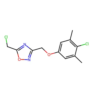 3-((4-Chloro-3,5-dimethylphenoxy)methyl)-5-(chloromethyl)-1,2,4-oxadiazole structure