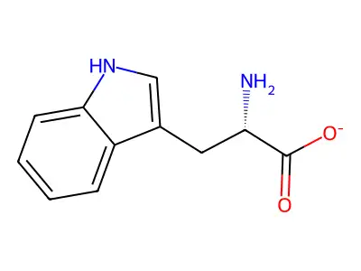 L-Tryptophan, ion(1-) structure