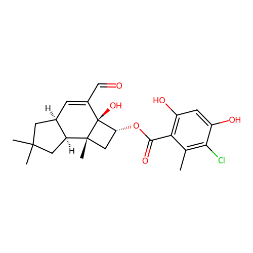 Melleolide K structure