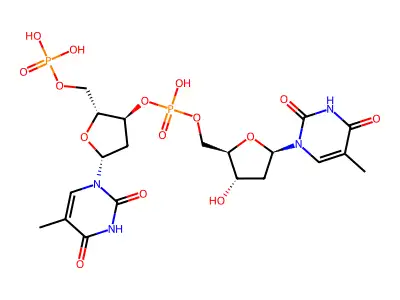 Dinucleotides structure