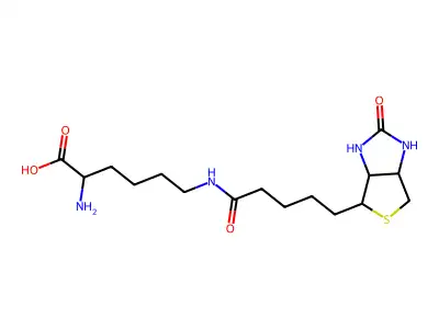 Biocytin structure
