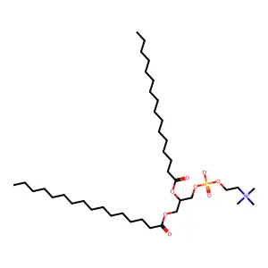 二棕榈酰磷脂酰胆碱 structure