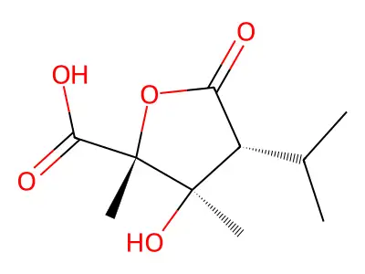 3-Hydroxy-2,3-dimethyl-5-oxo-4-propan-2-yloxolane-2-carboxylic acid structure