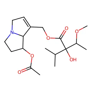Heliotrine, 7-acetate structure