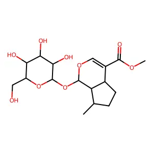 Deoxyloganin structure