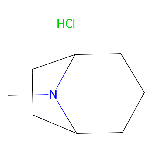 Tropane, hydrochloride structure