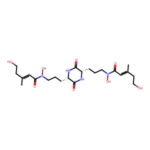 Dimerum acid structure