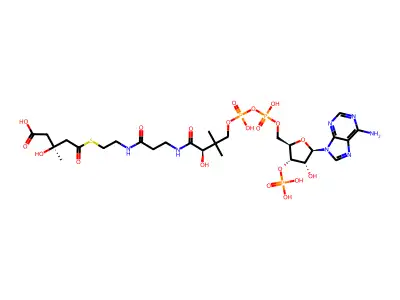 羟甲基戊二酸单酰辅酶A structure