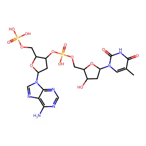 Poly dA-dT structure