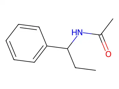 N-(1-phenylpropyl)acetamide structure