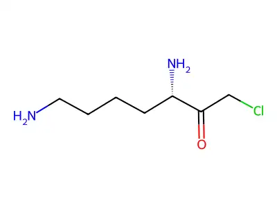 Lysine chloromethyl ketone structure