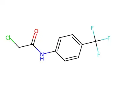 2-chloro-N-(4-(trifluoromethyl)phenyl)acetamide structure