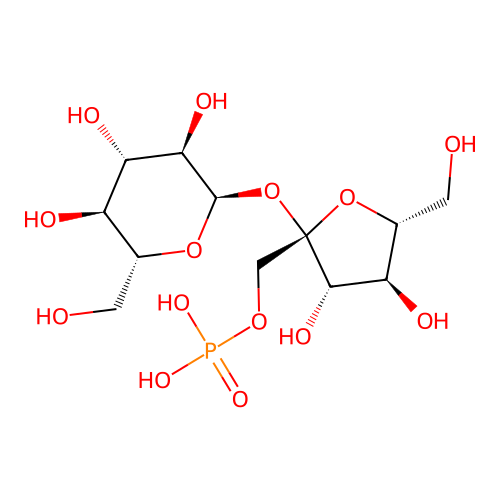 GlyTouCan:G29686UK structure