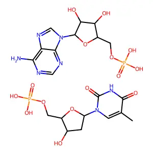 P-dThd.P-rAdo structure