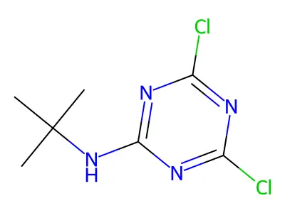 N-(tert-Butyl)-4,6-dichloro-1,3,5-triazin-2-amine structure