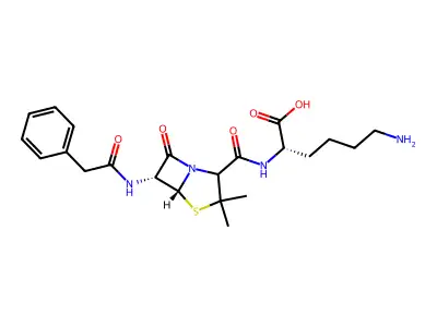 Penicilloyl polylysine structure