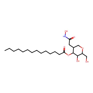 1xxe structure