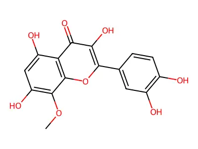 Corniculatusin structure