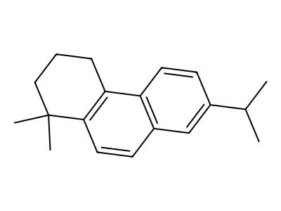 Simonellite structure